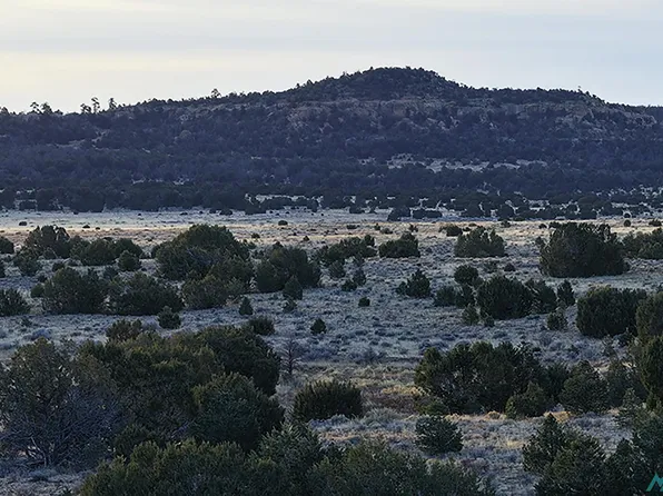 Indian Service Rte #113, Pinehill, NM 87357