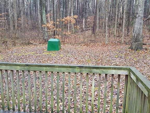 Back yard surrounded by woods