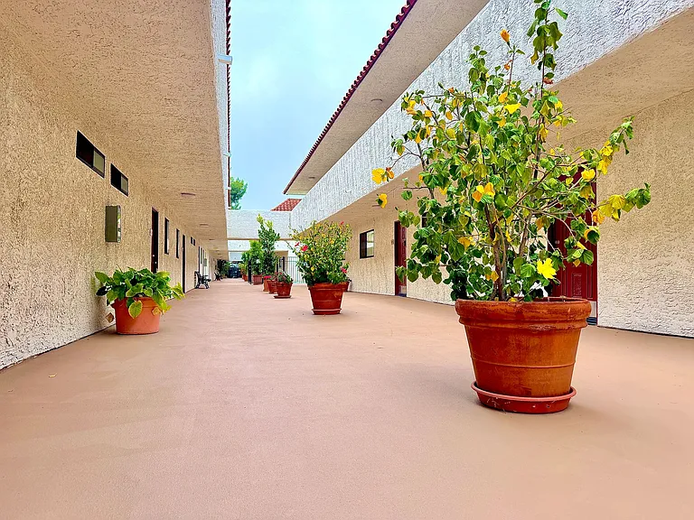 Royal Hazeltine Villas — Photo 10