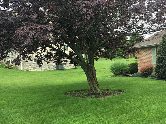 4th image of 11956 Oakton Dr
