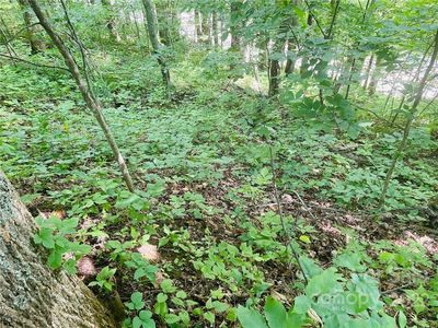 0 Granny Shepherd Rd #15, Mars Hill, NC, 28754