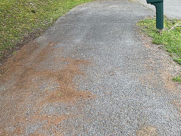 3rd image of 88 McGlamary Ln