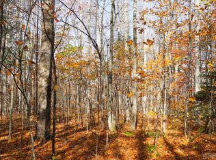 na Silly Ridge Road, Scaly Mountain, NC 28775