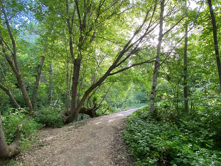 Trail along Emigration Creek right out the front door