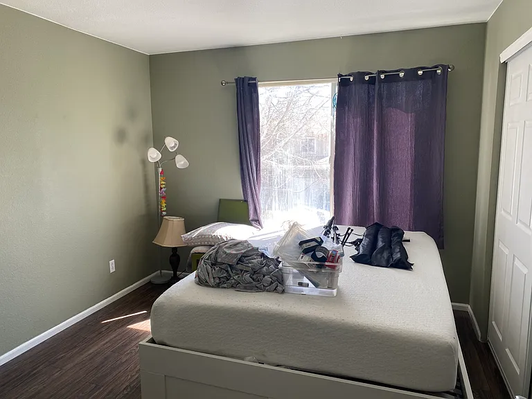959 Wolf Creek Dr — Photo 12