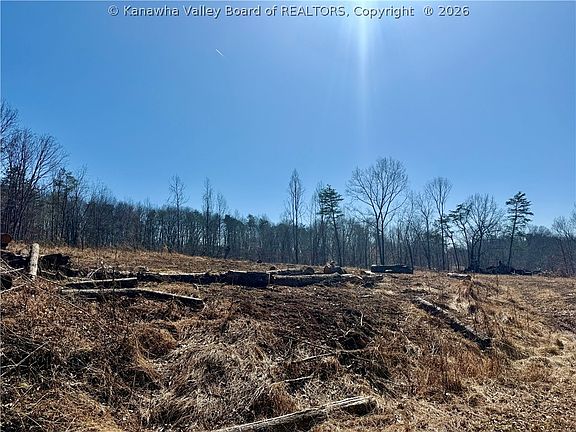 4th image of 0 Blessing Ln