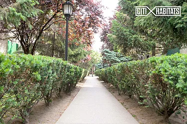 Rented by Citi Habitats