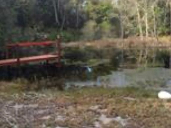 3rd image of 15753 SE 190th Avenue Rd