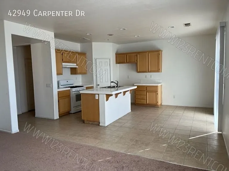 42949 Carpenter Dr — Photo 5