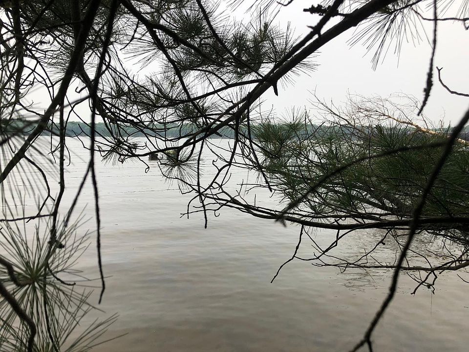1st image of LOT 7 Forest Hills Dr