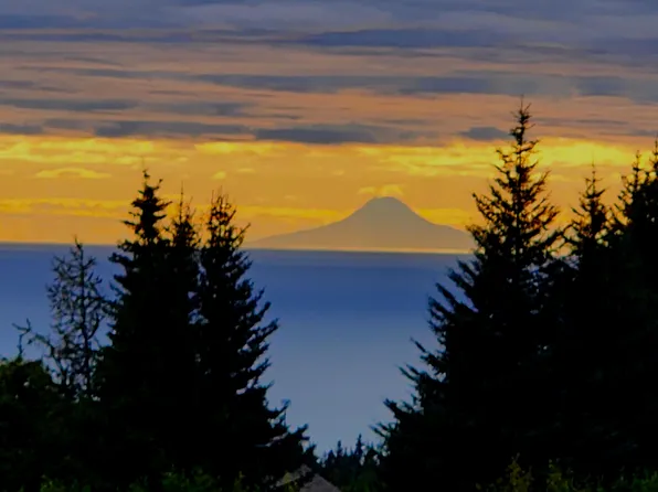 41236 Volcano View Ct #3, Homer, AK 99603