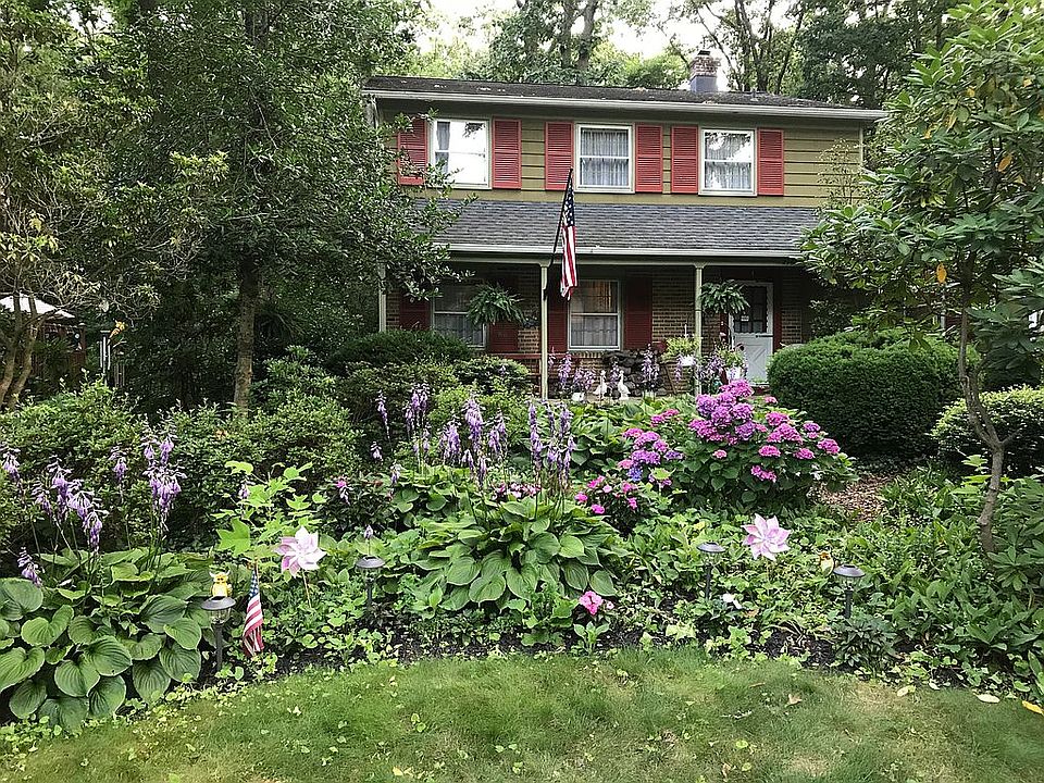 July flowers blooming