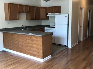 2834 S Wallace St, Chicago, IL 60616