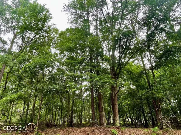 254 Gober Rd, Bishop, GA 30621