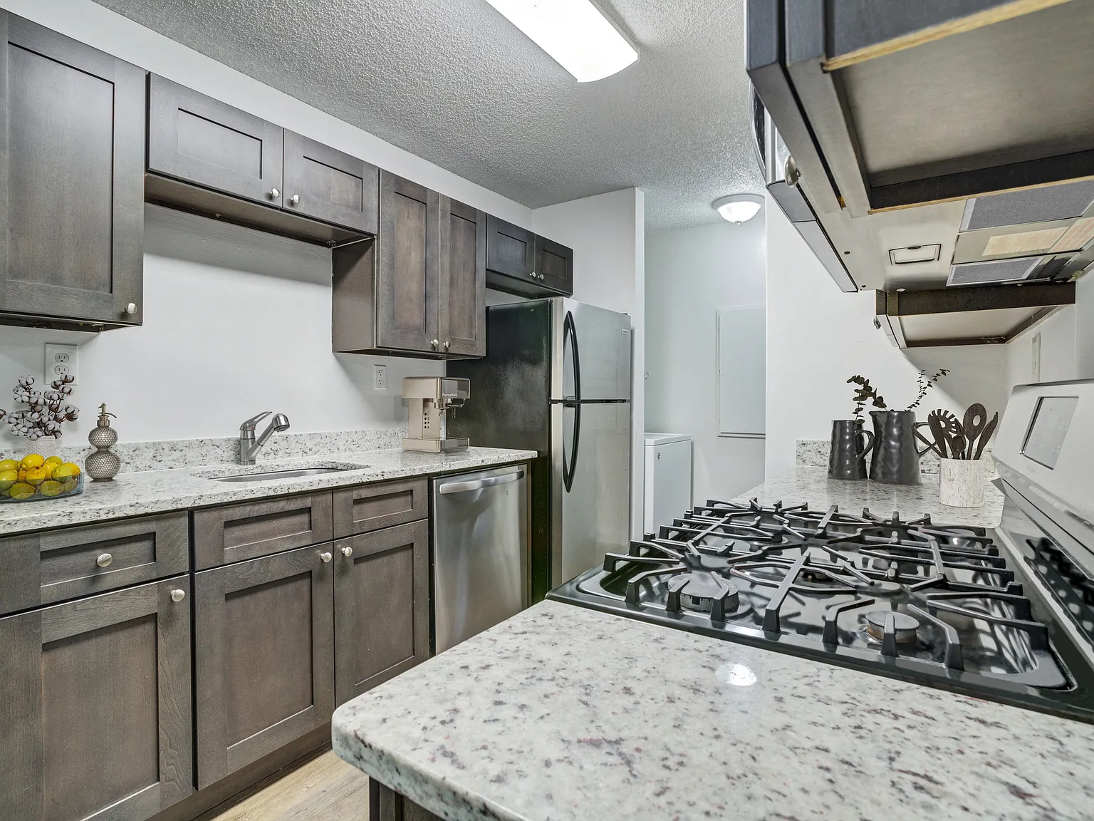 Chelsea Apartments — Photo 1