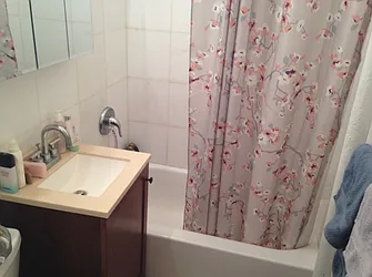 Rented by Pink Stone Realty LLC