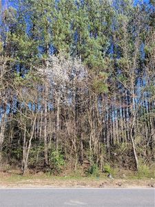 1560 Ewing Chapel Rd, Dacula, GA, 30019