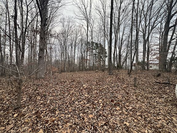 3rd image of 0 Chestnut St