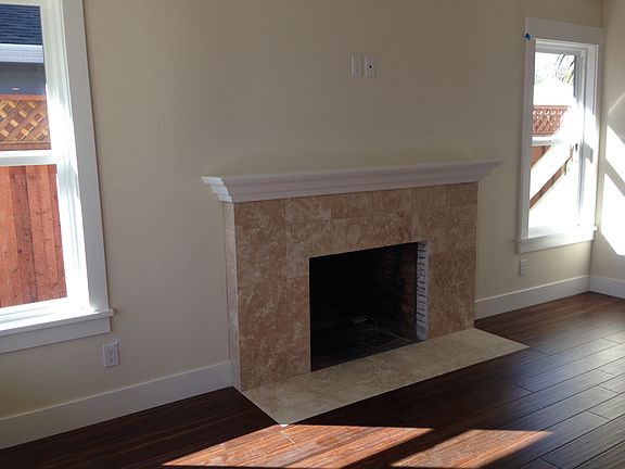 FIREPLACE INSERT WITH REMOTE