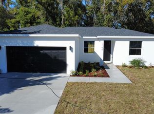 1195 Diedrich Ct, Eustis, FL 32726