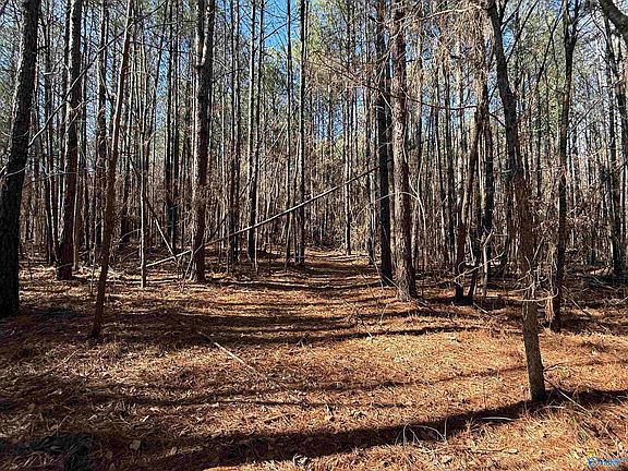 2nd image of /oak Grove Rd
