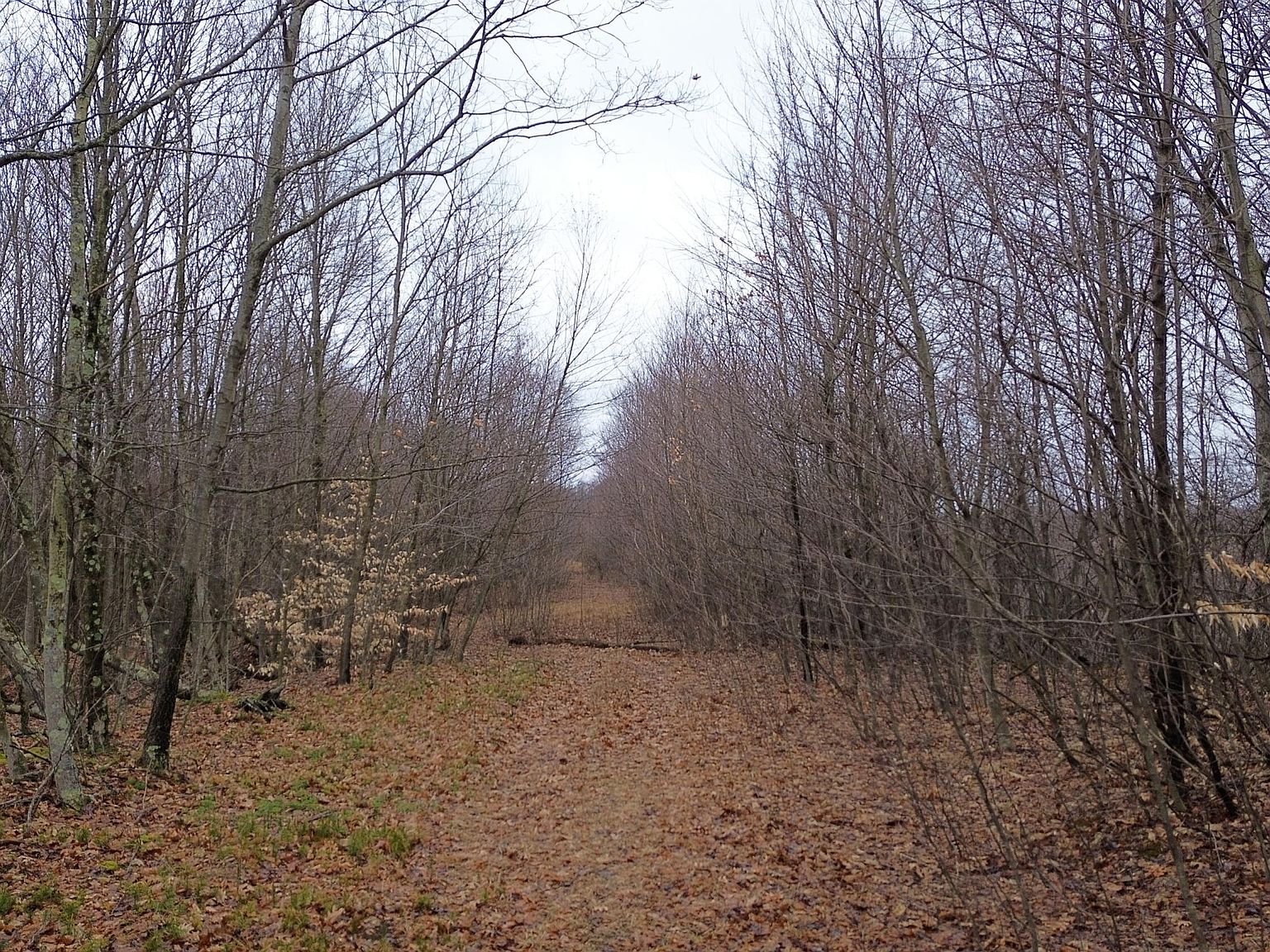 0 Barr Hill Rd, Punxsutawney, PA 15767 MLS 0211962 Zillow