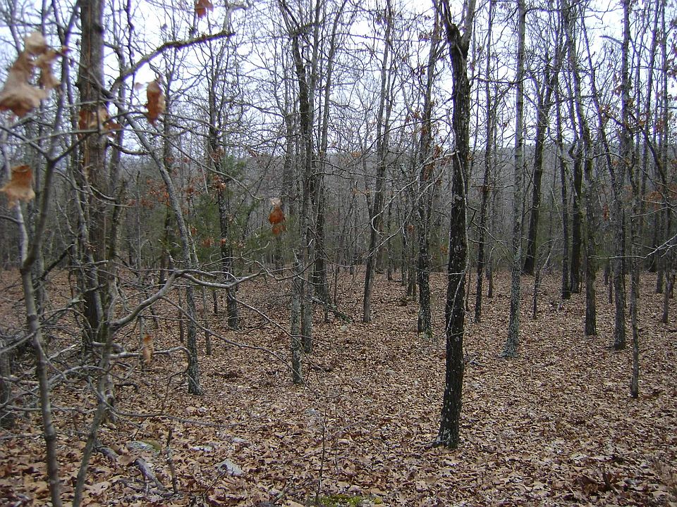 1st image of Kennedy Rd