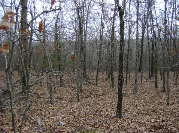 Kennedy Rd, Ash Flat, AR 72513