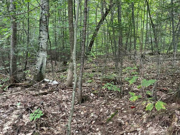 Lot 10-73 Ayers Road, Vershire, VT 05079
