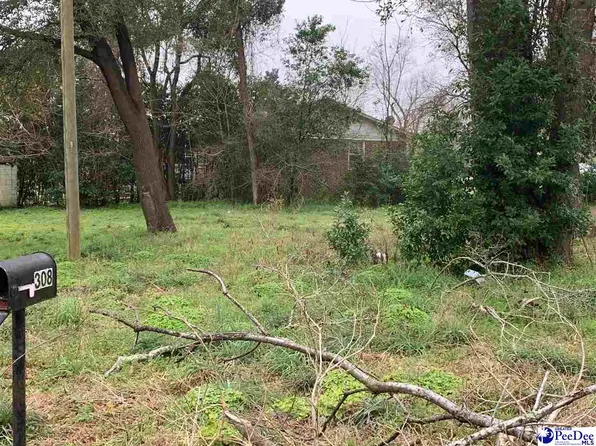 308 Riverland Ter, Kingstree, SC 29556