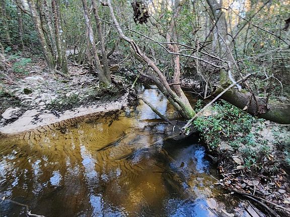 3rd image of 2151 Sally Parker Rd