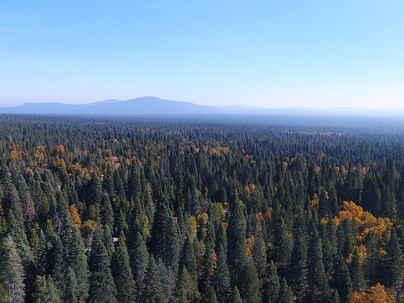 2nd image of MT. Shasta Dr