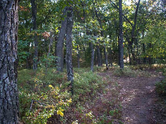 5th image of N7151 Timber Ridge Ln
