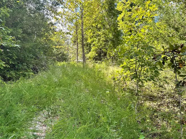 3320 Mc #3021, Pyatt, AR 72672