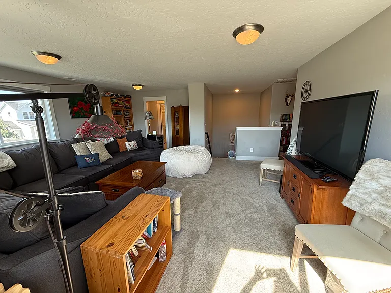 3437 Tschache Ln — Photo 22