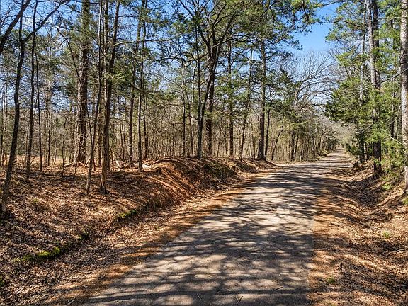 3rd image of Woodchuck Rd