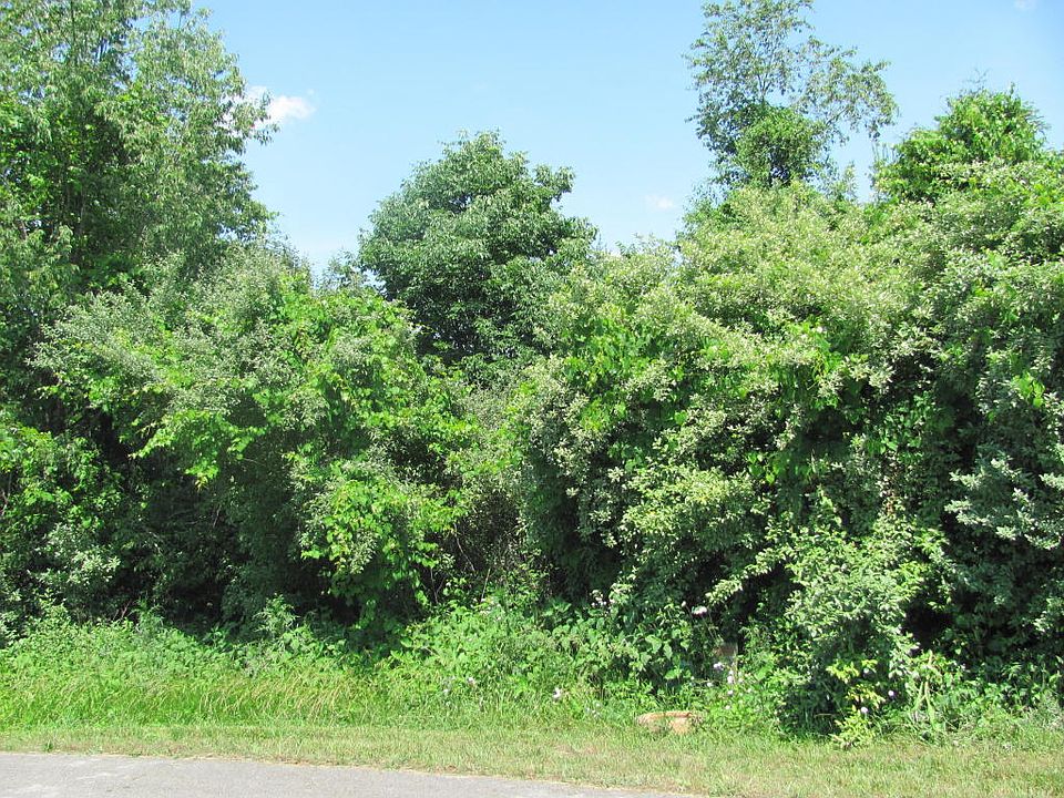 1st image of 118 Wataga Ln