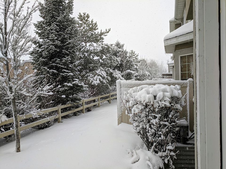 View of the backyard from the kitchen. The backyard has lots