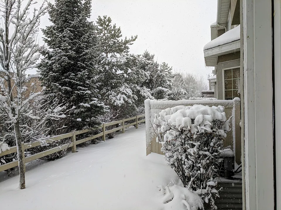 View of the backyard from the kitchen. The backyard has lots
