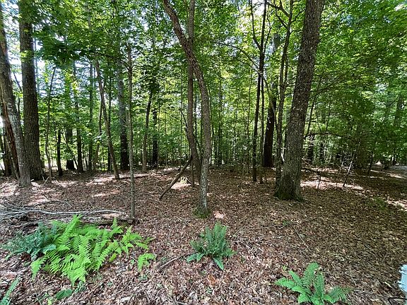 5th image of 15 Summit Way