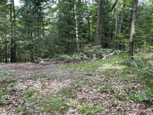 0 N Oak St, Hale, MI 48739