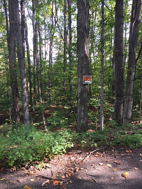 On the road looking at lake