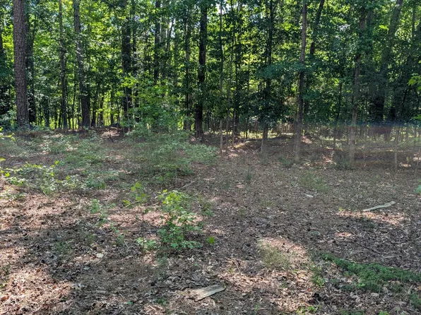 2069 Bowen Rd Lot B, Rougemont, NC 27572