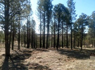 587 Kohners Ridge Dr, Happy Jack, AZ 86024