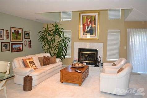 Living Room Fireplace with Marble