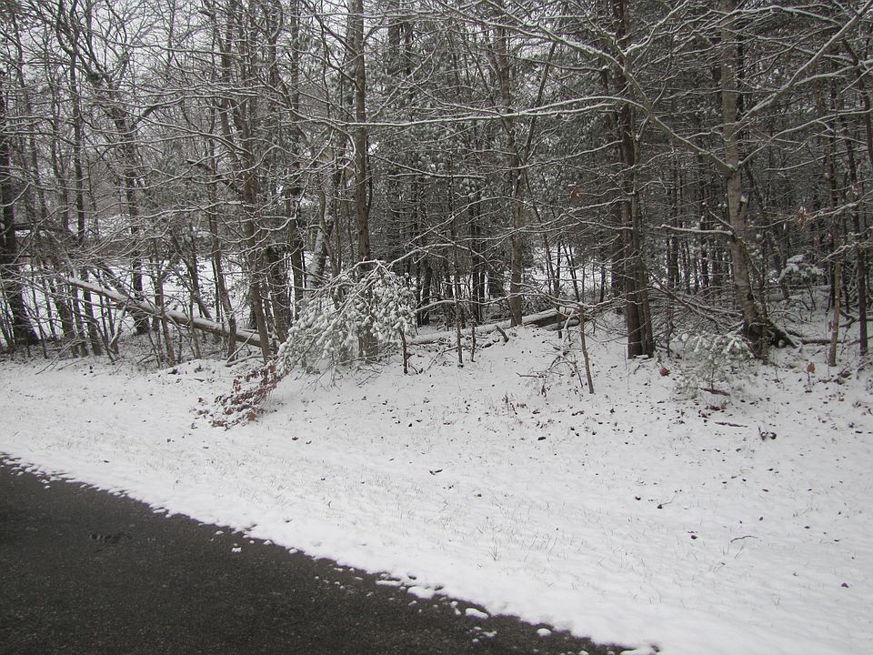 2nd image of Forest View Dr