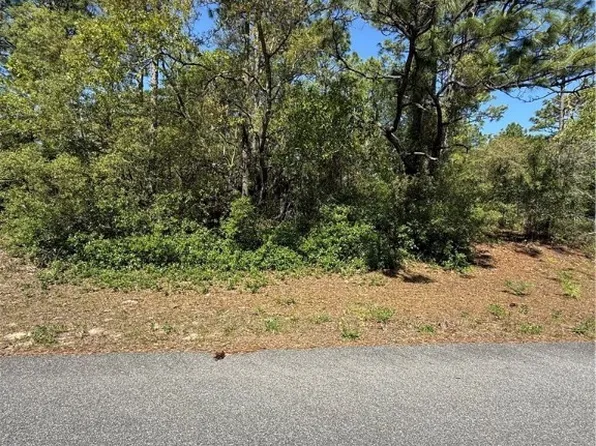 6526 N Shafton Ter, Citrus Springs, FL 34433