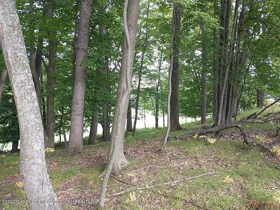 5th image of 9490 Pere Marquette Dr
