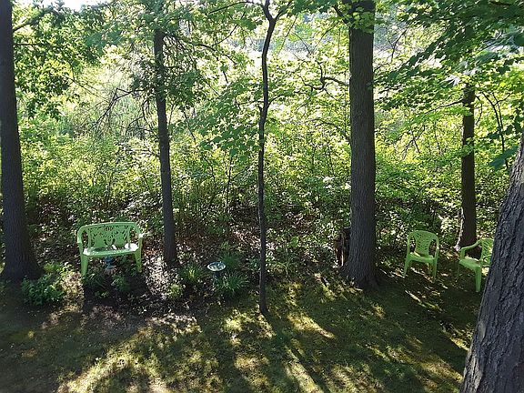backyard view