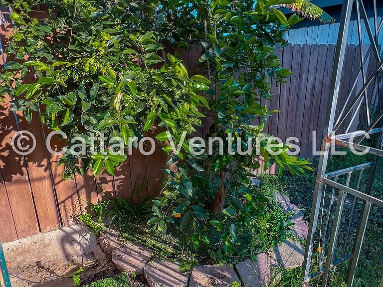 178 Avenida Del Gado — Photo 58